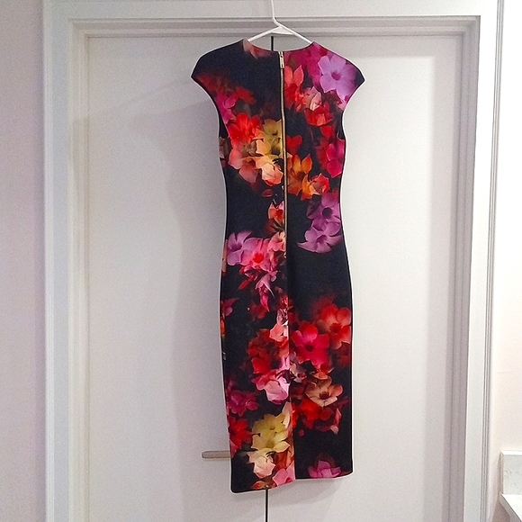 NWT! Ted Baker Catina Cascading Floral Sheath Ted 1(US 4) - Picture 6 of 15